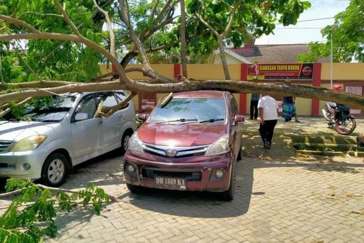 Suasana ketika mobil yang tertindih pohon tumbang akibat angin kencang di halaman parkir RSUP NTB