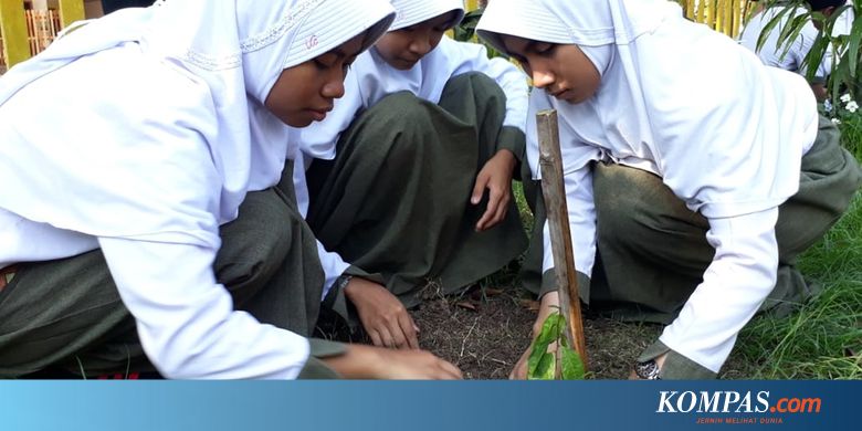 Tata Cara Pelaporan Dana BOS versi Permendikbud No 8 Tahun 2020