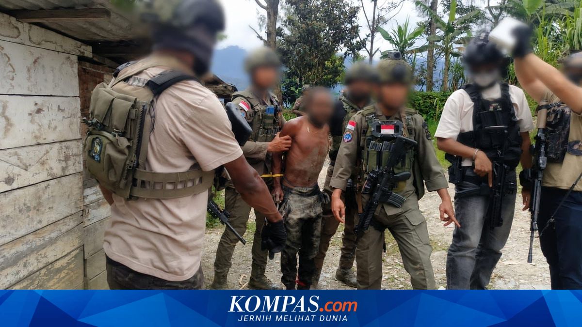 Anggota KKB Ditangkap di Intan Jaya, Diduga Terlibat Penembakan Pos Satgas Damai Cartenz