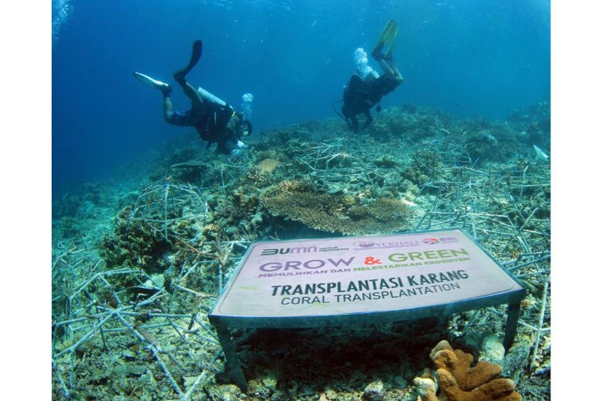BRI Menanam ? Grow & Green mengedepankan tiga nilai inti, yaitu sosial, ekonomi dan lingkungan.