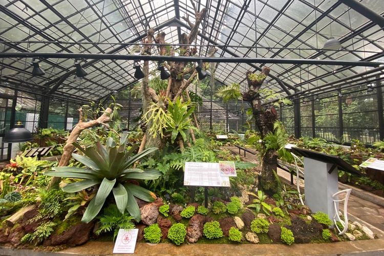 Wahana Rumah Kaca Taman Nepenthes Kebun Raya Bogor