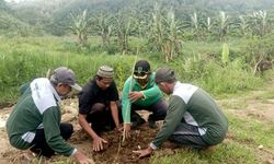Program FOLU dan PBNU Rintis Pemanfaatan Hutan Selain Tebu di Blitar Jatim