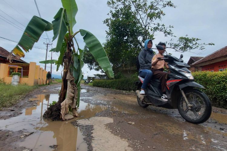 Jalan rusak ditanami pohon pisang oleh warga di Desa Tanjungjaya, Kecamatan Cihampelas, Kabupaten Bandung Barat. (KOMPAS.com/BAGUS PUJI PANUNTUN)