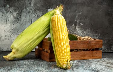 Ilustrasi jagung, jagung manis, dapat memicu masalah pencernaan, terutama pada penderita IBS.