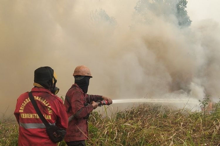 BPBD Catat 2.676 Karhutla di Sumsel, 15 Daerah Masuk Zona Merah