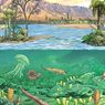 Pembagian Zaman Paleozoikum