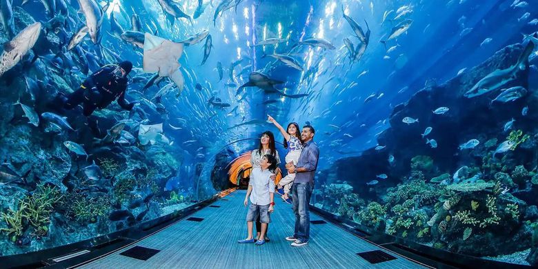 Tempat wisata bernama Dubai Aquarium & Underwater Zoo di dalam Dubai Mall di Dubai, Uni Emirat Arab.