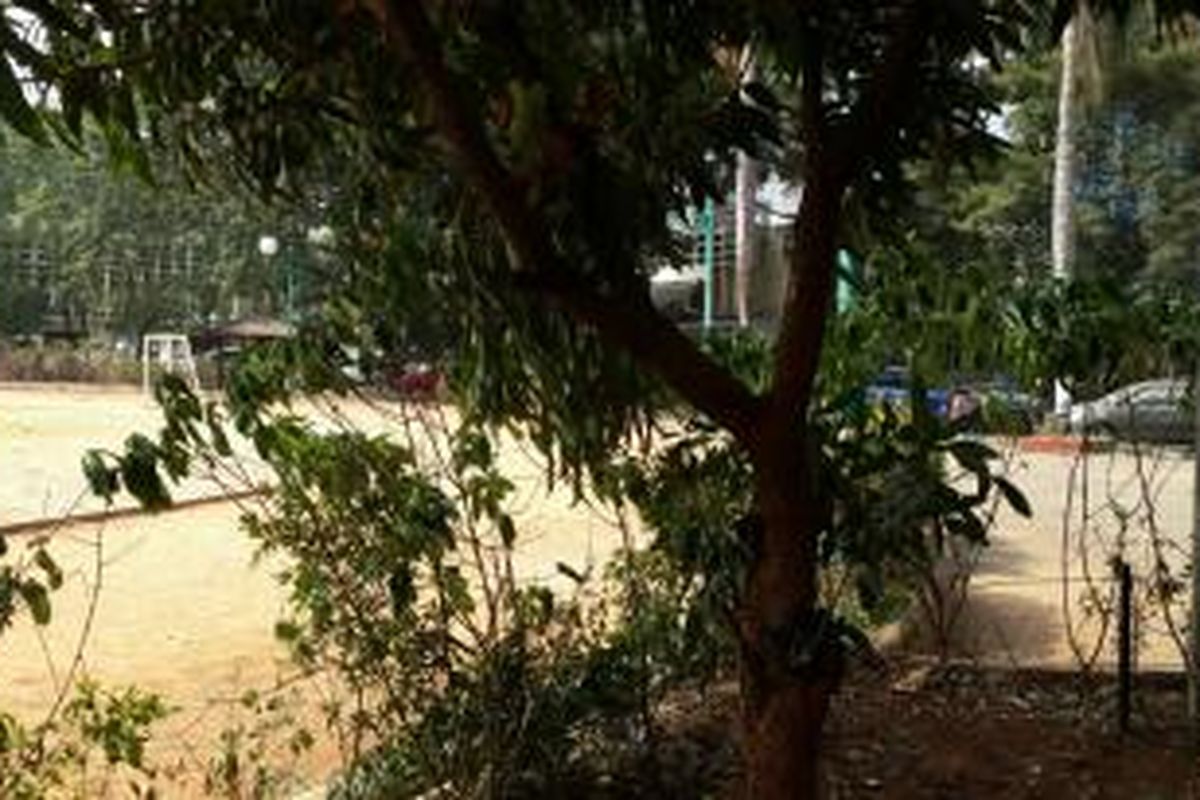 Pohon tempat Sumadi bunuh diri denngan cara menggantungkan diri, Polda Metro Jaya.