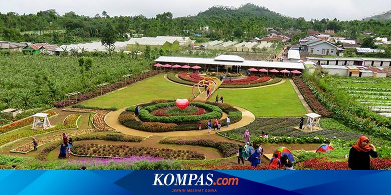 Taman Bunga Cantik Di Kaki Gunung Slamet