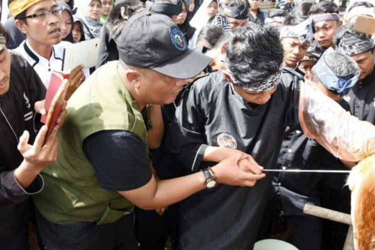 Seluruh pelajar SMP Negeri 2 Pondok Salam, Kabupaten Purwakarta, mengikuti praktikum biologi, berupa inseminasi buatan reproduksi sapi, Rabu (8/3/2017).  