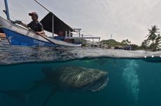 Daya Tarik Desa Wisata Botubarani Gorontalo