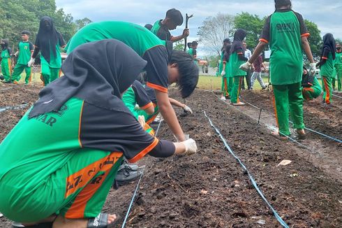 Cara Kreatif Sekolah Tumbuhkan Jiwa Wirausaha Siswa lewat Kegiatan Bertani Modern