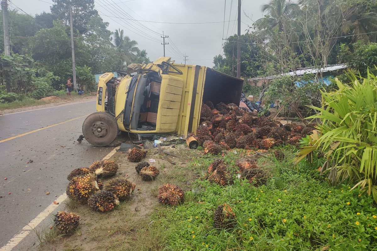 Truk bermuatan sawit terguling dalam tabrakan maut di jalan nasional Kecamatan Kelapa, Bangka Barat, Bangka Belitung, Sabtu (10/1/2026).