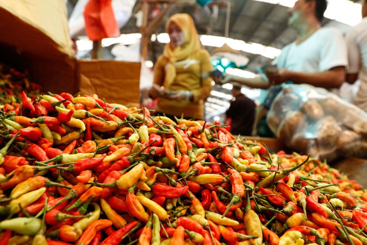 Pedagang mensortir cabai rawit merah di Pasar Induk Kramat Jati, Jakarta Timur, Senin (10/02/2020). Harga cabai rawit merah turun menjadi Rp. 55.000 per kilogram setelah pasokan dari beberapa wilayah melimpah dan dilakukannya operasi pasar oleh pemerintah.
