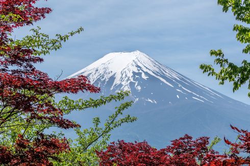 Syarat ke Jepang per Januari 2023, Wajib Vaksin Dosis Ketiga