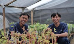 Pertamina Gelar 337 Penanaman Pohon, Dukung Gerakan Perhutanan Sosial
