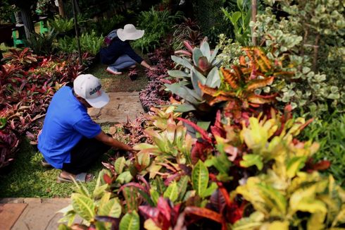 Konservasi Flora dan Fauna di Indonesia