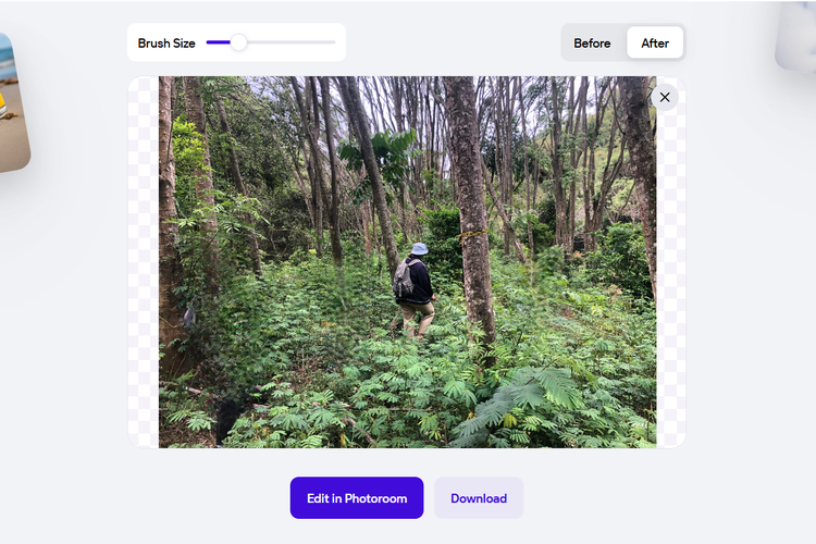 Ilustrasi cara menghapus orang di foto.