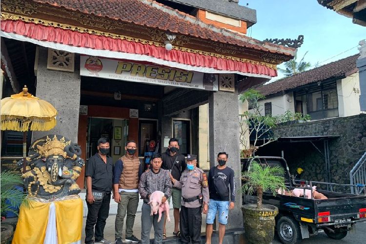 Pelaku membopong seekor anak babi (tengah) dikawal personel Unit  Reskrim Polsek Tegallalang, Gianyar, pada Selasa (26/4/2022). /Dok.istimewa.