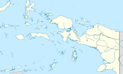 Investor Belanda Jajaki Kerja Sama Energi Terbarukan dengan Pemprov Papua