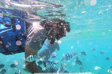 Serunya Renang Bareng Ratusan Ikan Aneka Warna di Laut Belitung