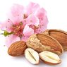 Kulit Sehat dan Rambut Indah dengan Almond dari Provence