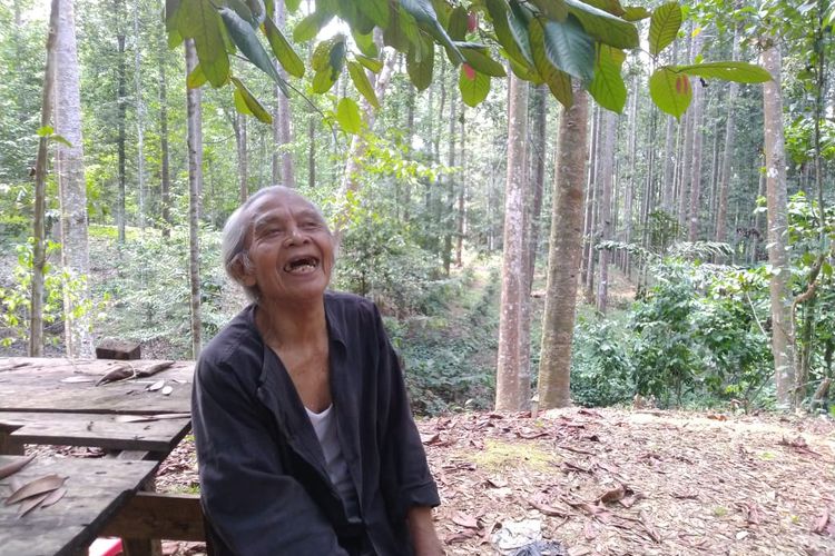 Kakek Suhendri saat berbincang bersama Kompas.com di hutan miliknya, Kamis (31/10/2019).