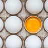 Telur Mentah, Apakah Aman Dikonsumsi?