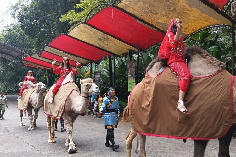 Cara Dapat Promo Tiket Taman Safari Bogor Agustus 2026, Mulai Rp 180.000