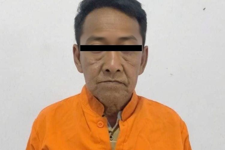 Pria 66 tahun berinisial SJ, warga Dusun Kandangan, Desa Kedungrejo, Kabupaten Nganjuk, Jawa Timur, ditangkap polisi karena diduga menganiaya kekasihnya, BS (51) pada Sabtu (2/8/2025) gara-gara ditagih bayaran jasa pemandu lagu atau lady companion.

Dalam keadaan emosi, SJ memukul korban menggunakan asbak kayu dan pecahan batu bata.