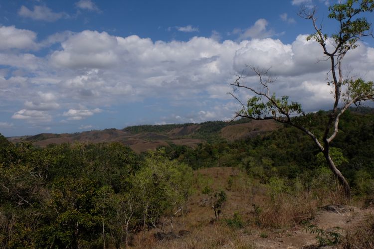 Pemandangan di jalur trekking menuju Air Terjun Wai Marang di Sumba Timur, NTT.