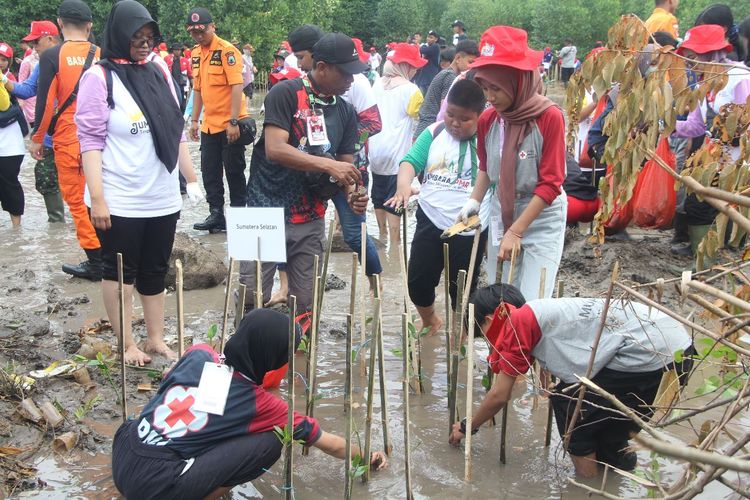 1. Sebanyak 221 Relawan Palang Merah Remaja (PMR) dan Relawan internasional melakukan penanaman Mangrove di pantai Perahu Batu Merak Blantung Rabu (5/7) 2023. Sedikitnya 1.000 bibit Mangrove ditanam oleh peserta kegiatan Bakti Lingkungan tersebut. Edukasi penamanam Mangrove ini merupakan upaya membentuk relawan yang peduli lingkungan, serta menjaga lingkungan sebagai bentuk kepedulian terhadap masyarakat
