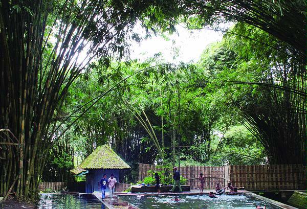 Hutan Bambu Menjaga Sumber Air Halaman All Kompas Com