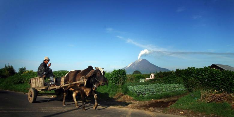 Industri Pertanian Indonesia Dikuasai Asing