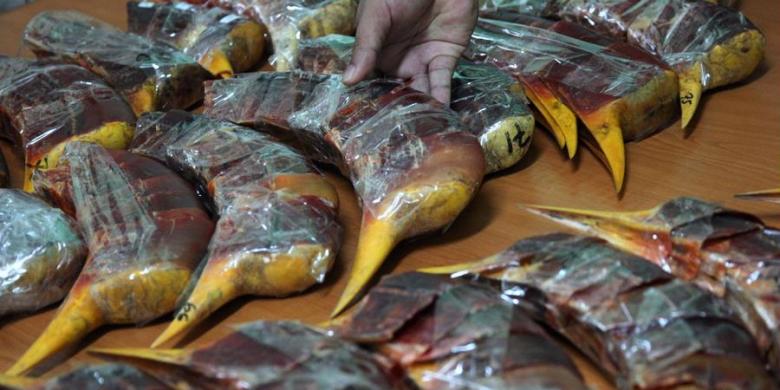Bea Cukai Thailand Gagalkan Penyelundupan 122 Trenggiling