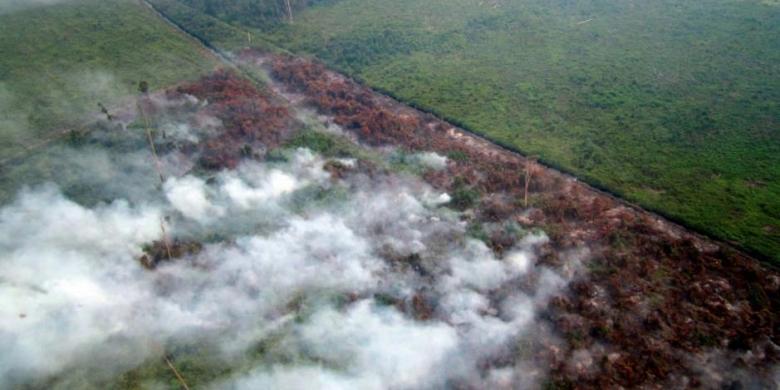 BMKG Deteksi Delapan Titik Api di Riau