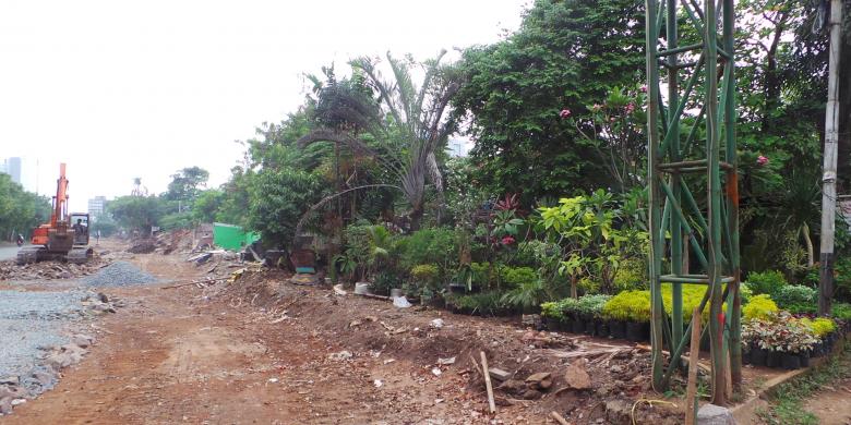  Tanaman  Hias di Jalan  Arjuna Mundur 8 Meter Kompas com