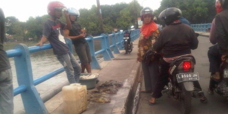  Ikan  ikan  Kali Surabaya Mati Mendadak Kompas com