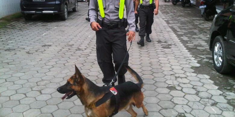 Anjing Pelacak Pun Kesulitan Cari Korban Longsor Banjarnegara