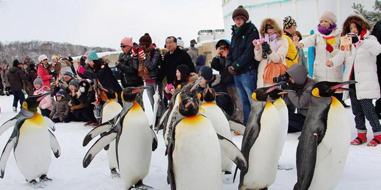 Lima Atraksi Wisata Di Jepang Favorit Turis Indonesia