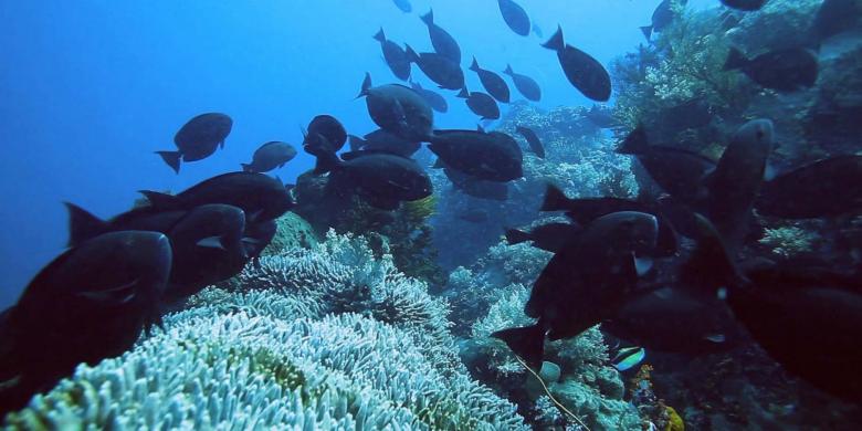 NTT Wujudkan Tekadnya Jadi Destinasi Dunia