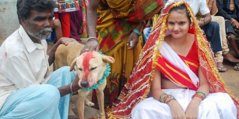 780px x 390px - Demi Buang Nasib Buruk, Gadis India Menikahi Seekor Anjing