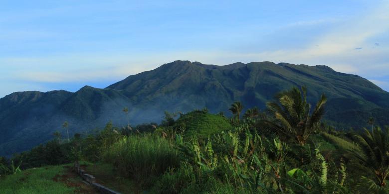 Demi Konservasi di Wallacea, Dana Rp 50 Miliar Pun Dikucurkan