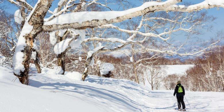 5 Tempat Terbaik Menikmati Salju di Jepang - Kompas.com