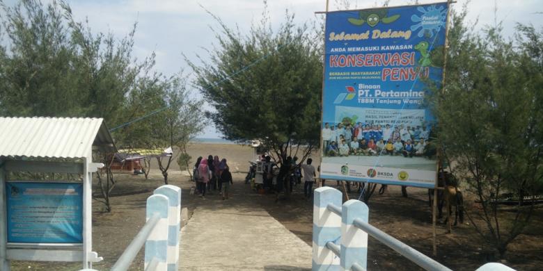 Pantai Cemara Destinasi Wisata Baru Di Banyuwangi