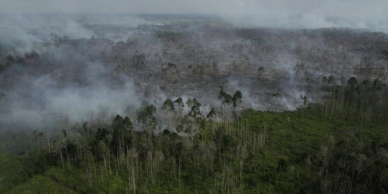 Satelit Deteksi 90 Titik Panas Riau