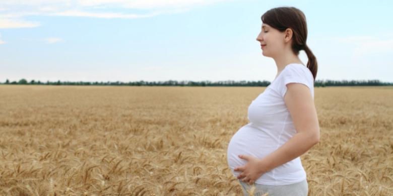 Hasil gambar untuk Multivitamin Selama Kehamilan Dikaitkan Dengan Risiko Autisme Yang Lebih Rendah