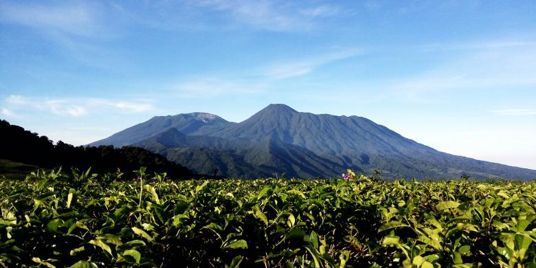 Gunung Kencana, Si "Kecil" yang Menantang - Kompas.com