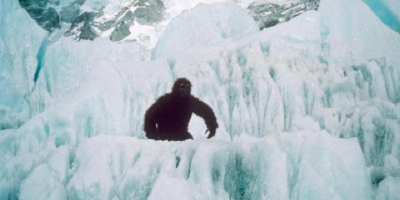 Makhluk Misterius Yeti, Manusia, Beruang, atau Mitos Semata?