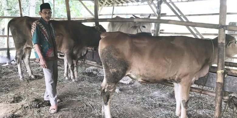 Beternak Cara Petani Jonggol Tambah Penghasilan Sorotpolitik